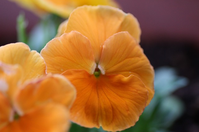 ファイル 59-4.jpg