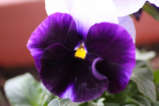 ファイル 59-5.jpg