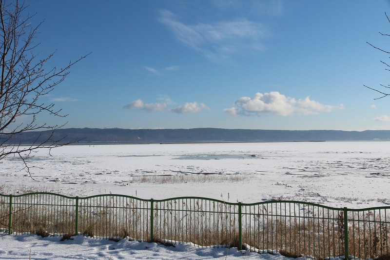 ファイル 6-1.jpg