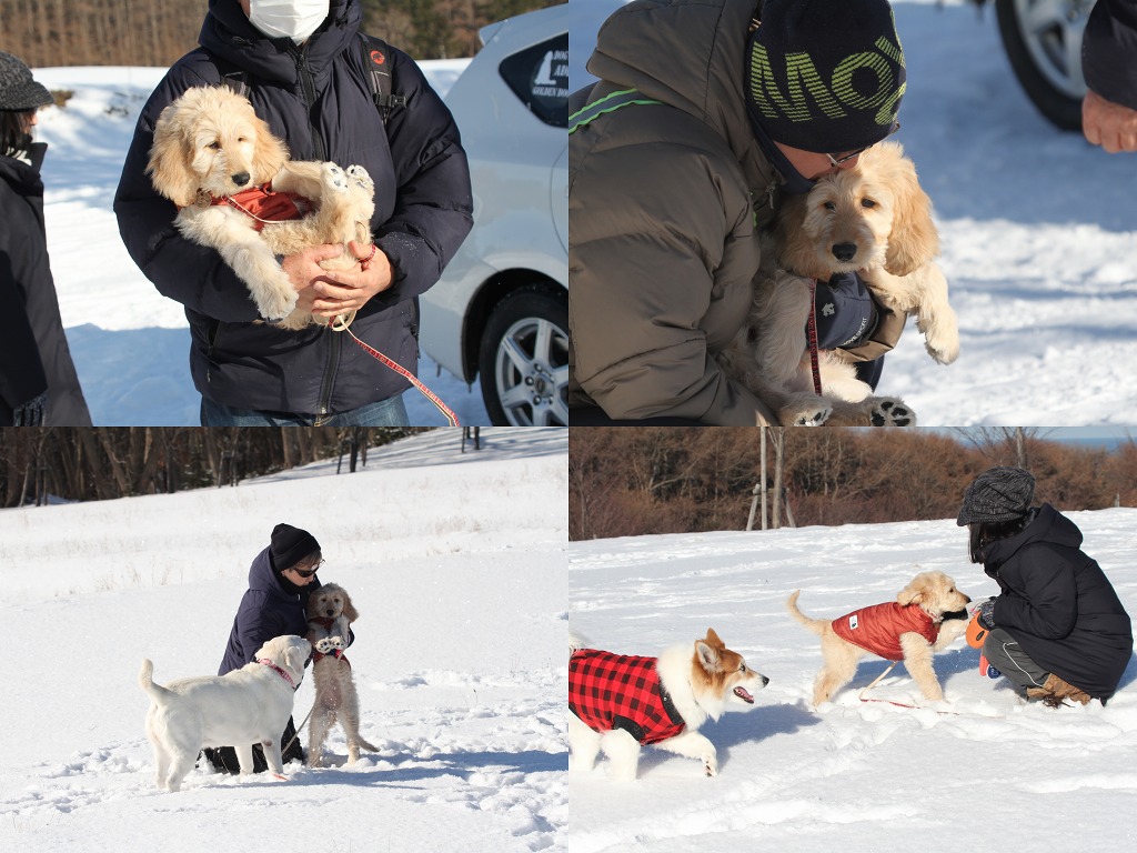 ファイル 6-2.jpg