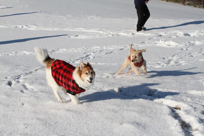 ファイル 6-4.jpg