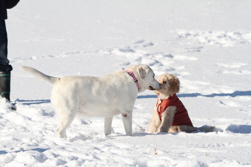 ファイル 6-5.jpg