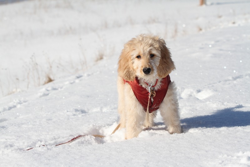 ファイル 6-6.jpg