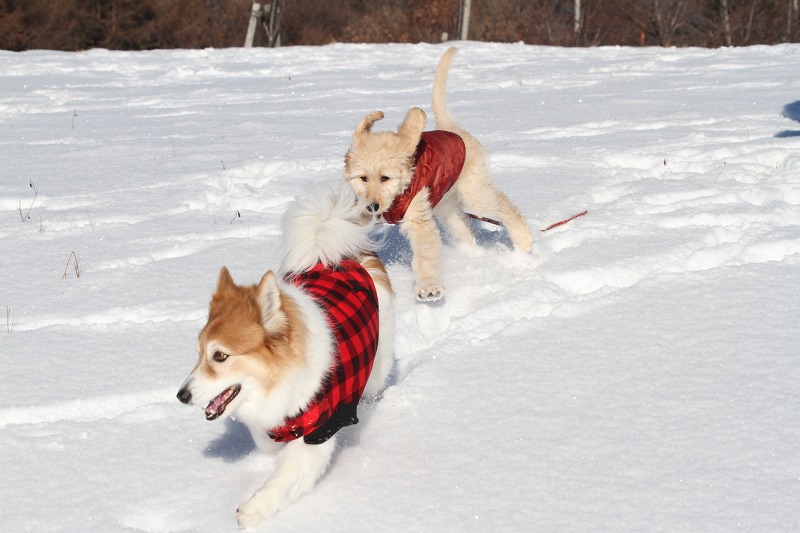 ファイル 6-7.jpg