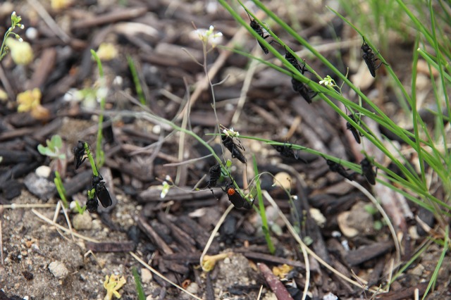 ファイル 60-3.jpg