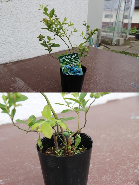 ファイル 60-6.jpg