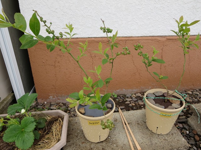 ファイル 60-7.jpg