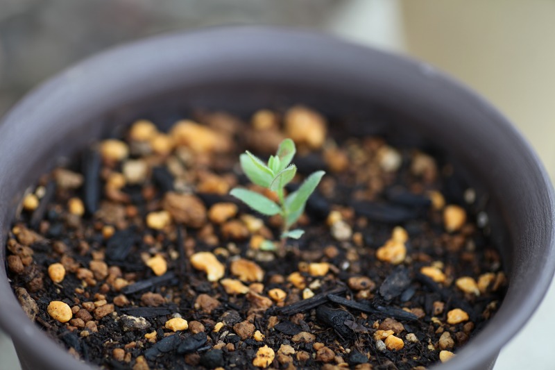 ファイル 62-3.jpg