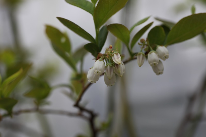 ファイル 62-7.jpg