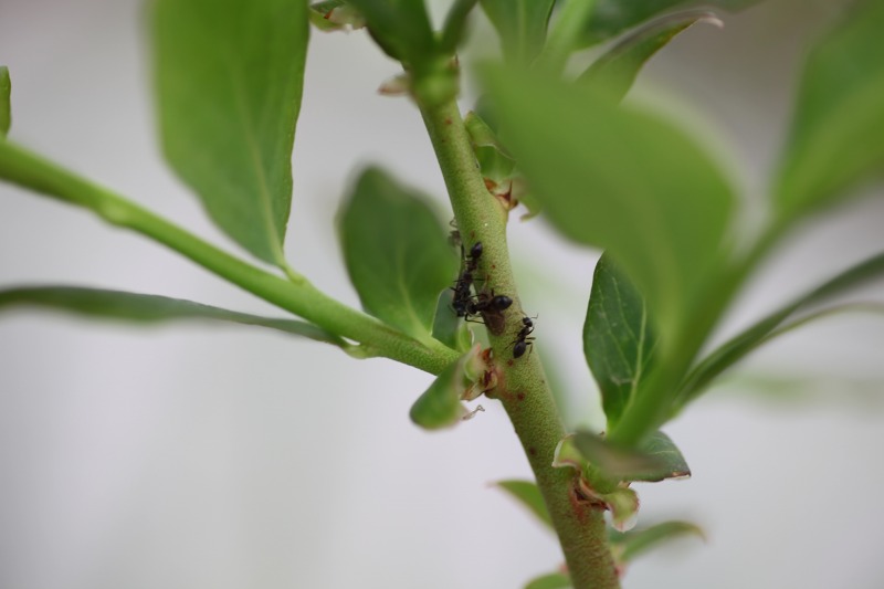 ファイル 62-8.jpg