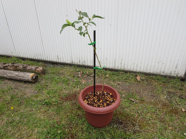 ファイル 63-5.jpg