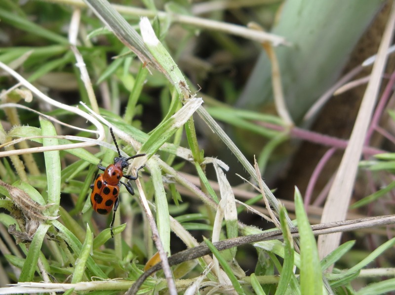 ファイル 65-3.jpg