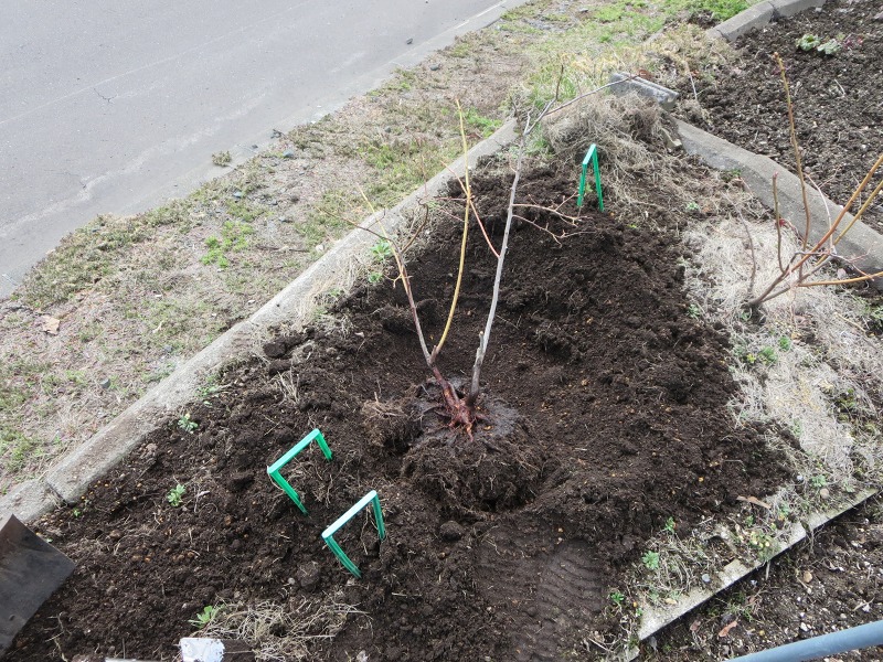 ファイル 66-1.jpg