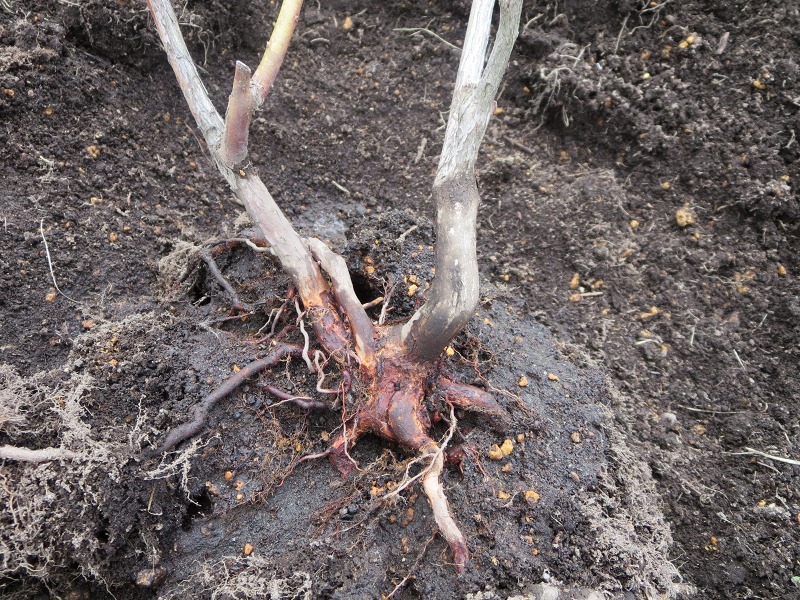 ファイル 66-2.jpg