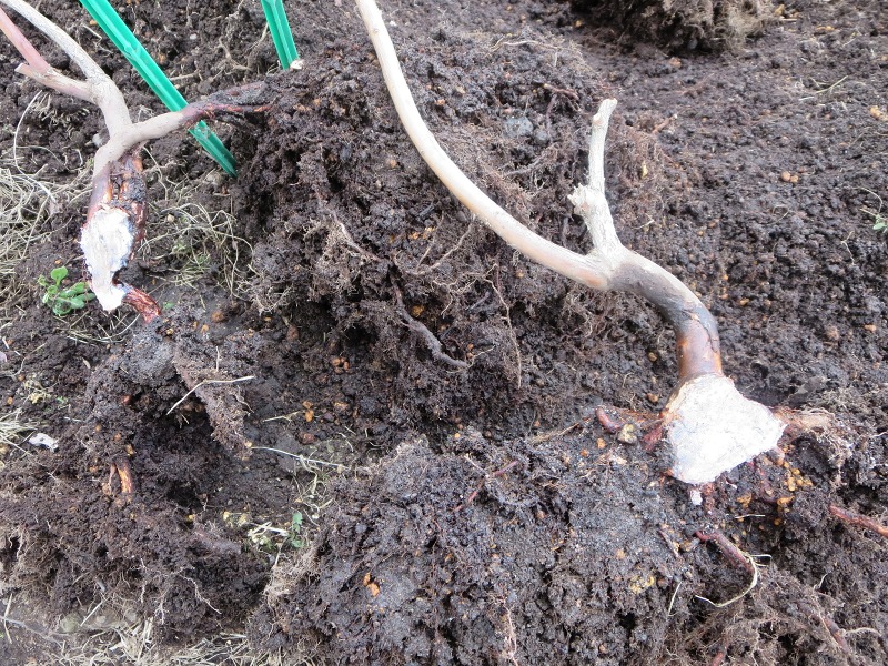 ファイル 66-3.jpg