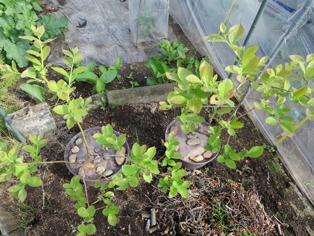 ファイル 66-7.jpg