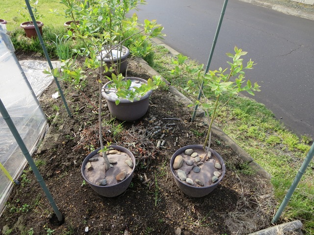 ファイル 66-8.jpg