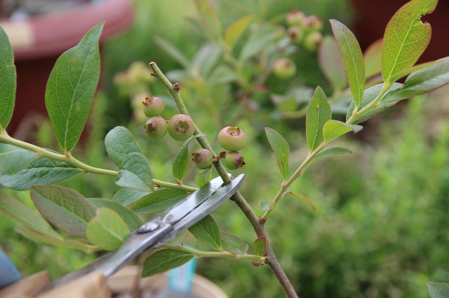 ファイル 67-5.jpg