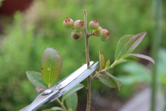 ファイル 67-6.jpg