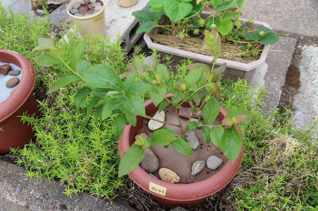 ファイル 67-7.jpg