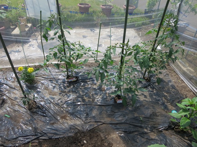 ファイル 68-2.jpg