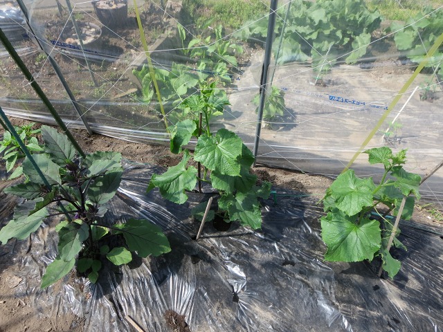 ファイル 68-3.jpg