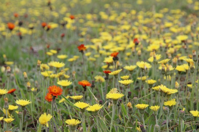 ファイル 68-5.jpg