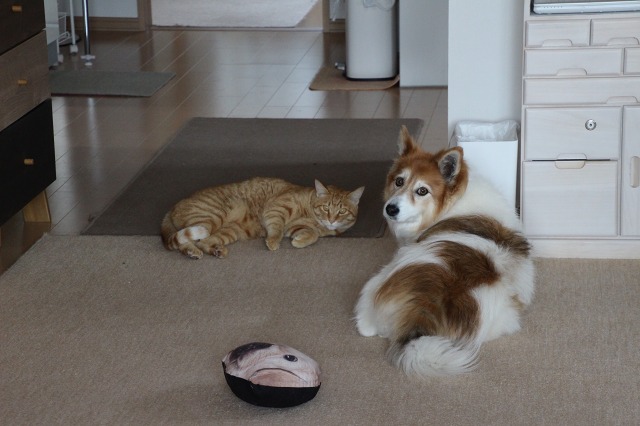 ファイル 69-5.jpg