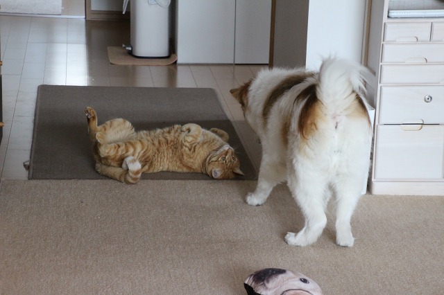 ファイル 69-6.jpg