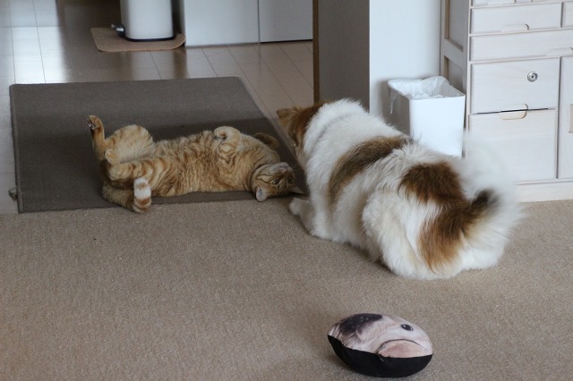 ファイル 69-7.jpg