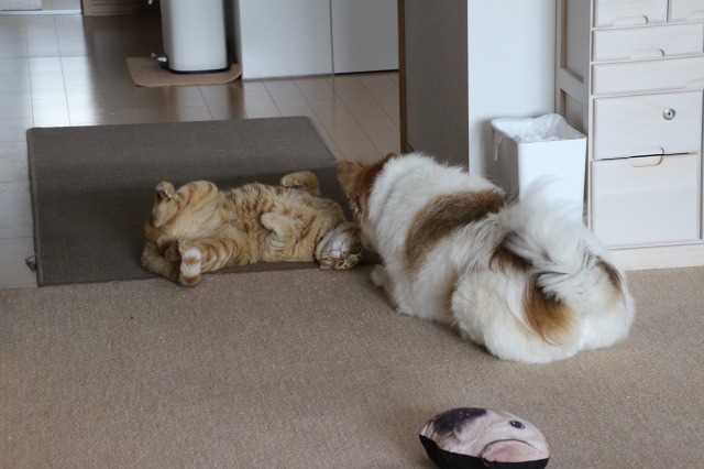 ファイル 69-9.jpg