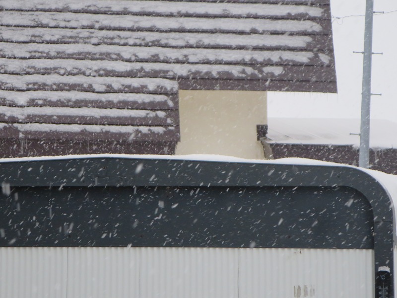 ファイル 7-7.jpg