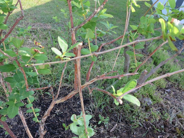 ファイル 71-2.jpg