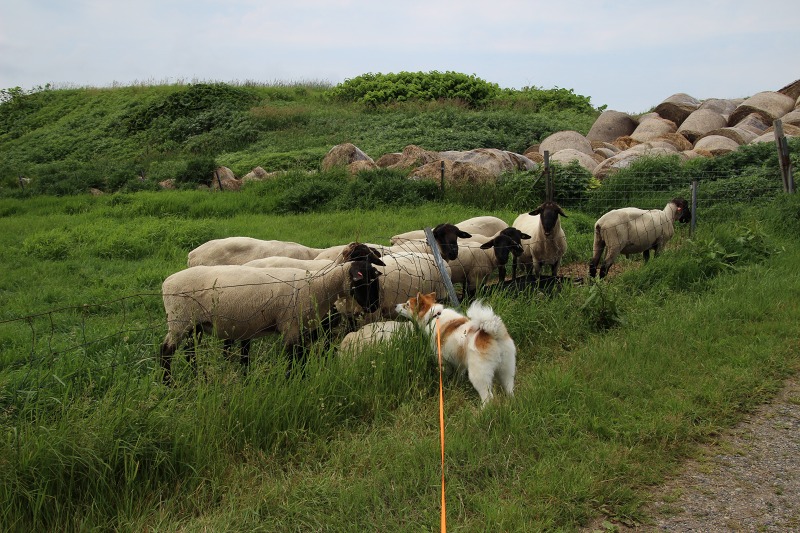 ファイル 72-2.jpg