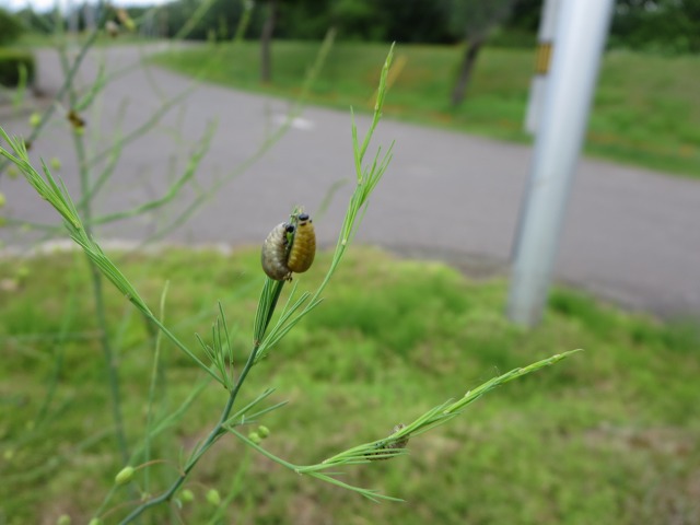 ファイル 72-3.jpg