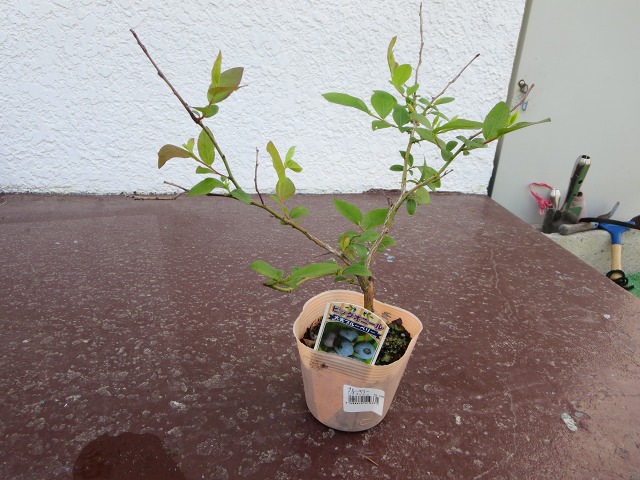 ファイル 72-4.jpg