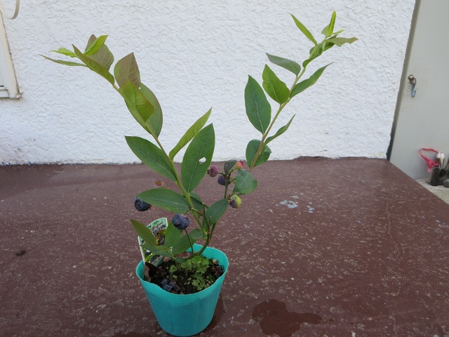 ファイル 72-5.jpg