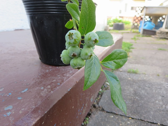 ファイル 72-7.jpg