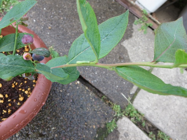 ファイル 72-8.jpg