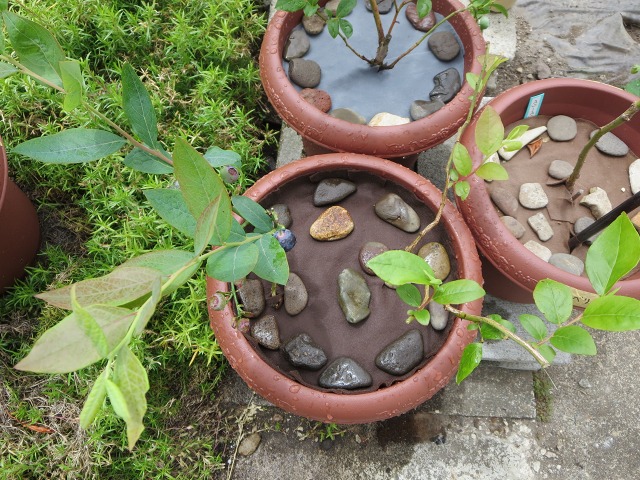 ファイル 72-9.jpg