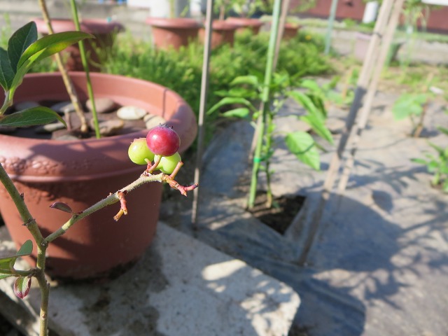 ファイル 73-4.jpg