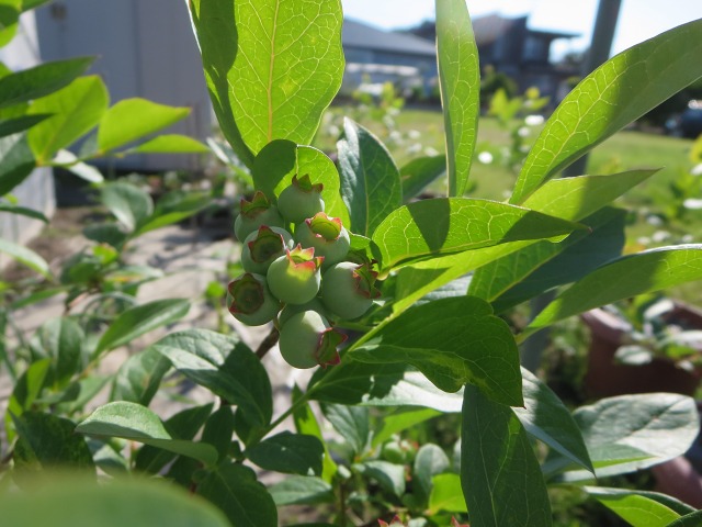 ファイル 73-6.jpg