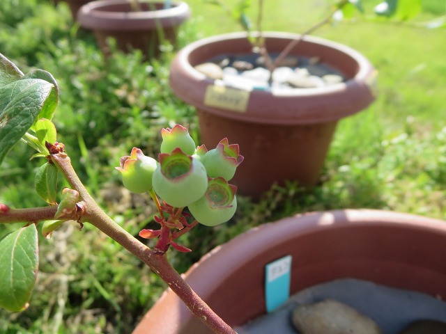 ファイル 73-7.jpg