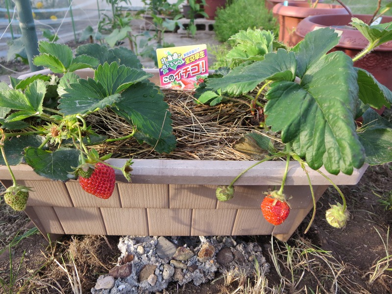 ファイル 74-2.jpg