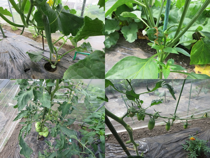 ファイル 74-6.jpg