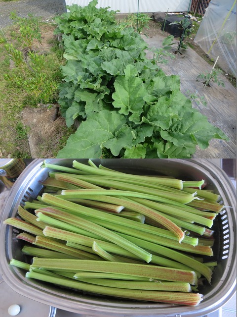 ファイル 74-9.jpg