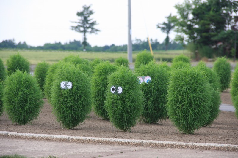 ファイル 75-1.jpg