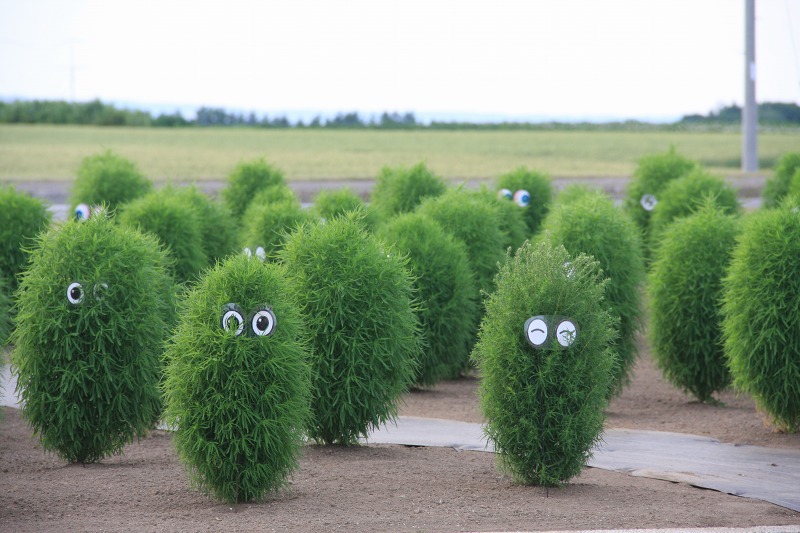 ファイル 75-2.jpg