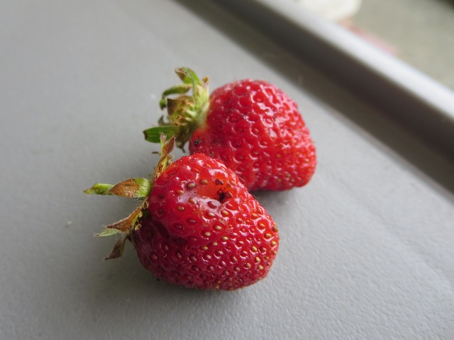 ファイル 76-1.jpg