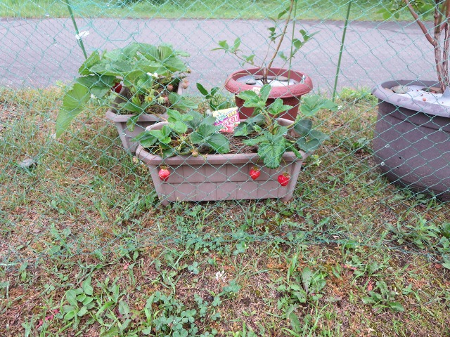 ファイル 76-2.jpg